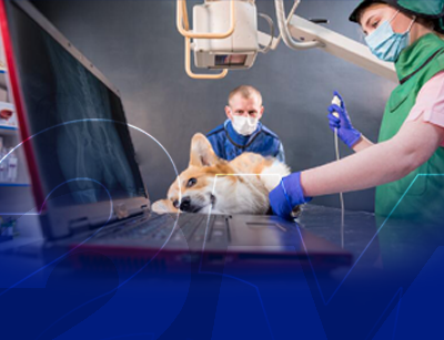 Radiologia Veterinária: Como Simplificar Os Processos?